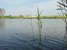 rekreační středisko stanové městečko kemp celoroční venkovské domy pokoje ubytování ubytování v Polsku Baltské moře Leba